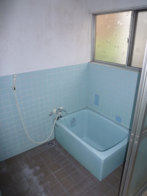 Bath. The window with the bath