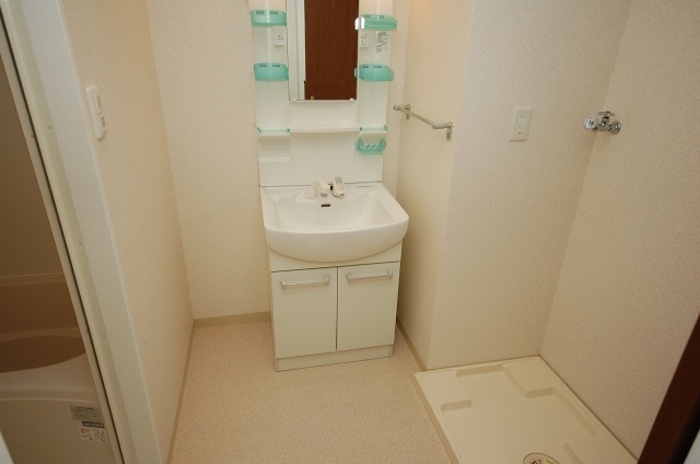 Washroom. Interior image: the same apartment a separate room