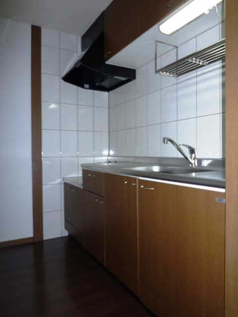 Kitchen. Kitchen space