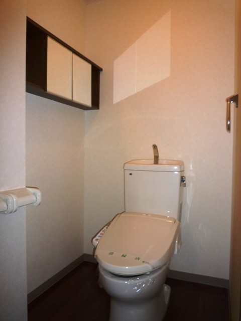 Toilet. Warm water washing toilet seat