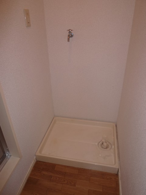 Other room space. Washing machine in the room