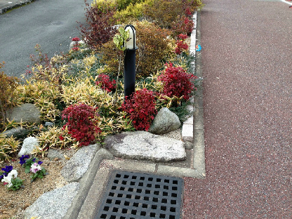 Other common areas. It is manicured flower beds