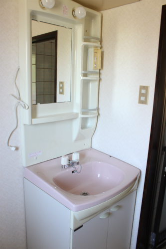 Washroom. Wash basin