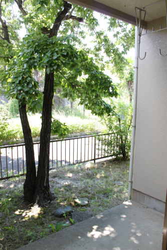 Balcony. Outdoor dog OK!