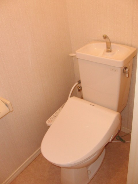 Toilet. It is a photograph of the toilet.
