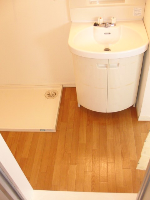 Other. It is a photograph of the washroom.