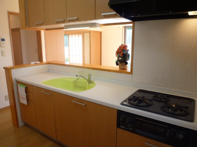 Kitchen. 3-burner stove face-to-face kitchen