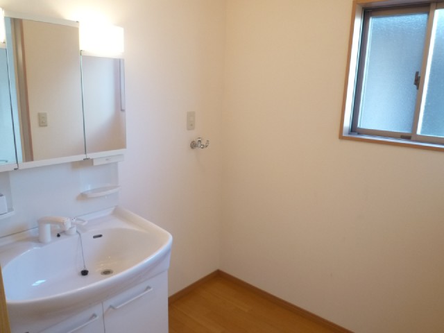 Other room space. Washbasin with shower