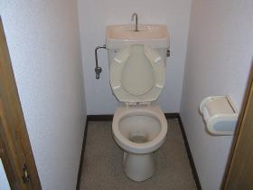 Other. Toilet