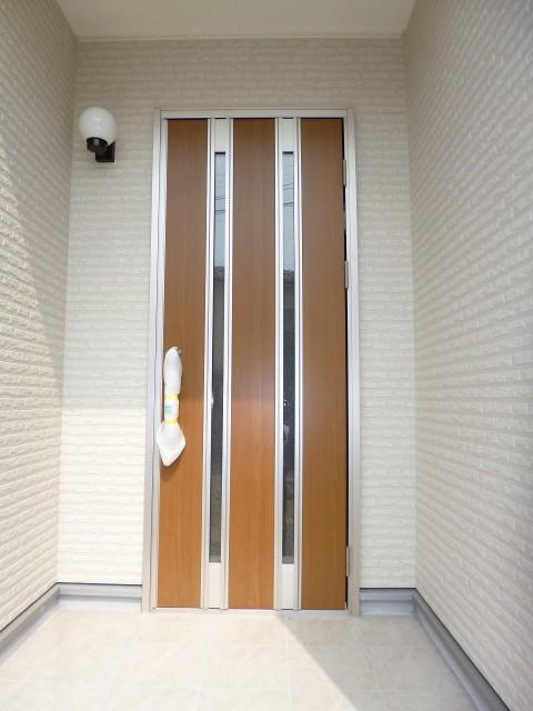Entrance. Entrance door