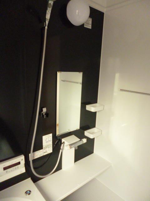 Bathroom. Indoor (12 May 2013) Shooting