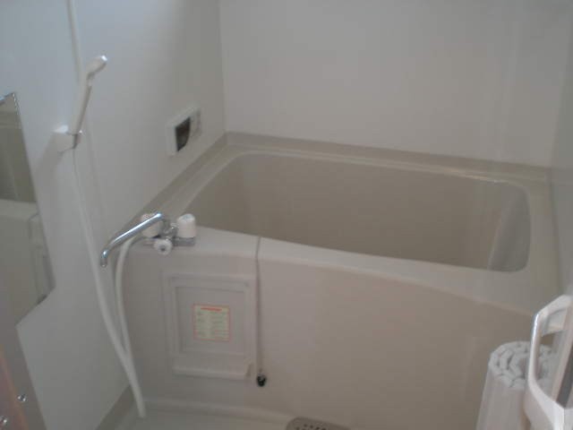 Bath. shower, There mirror.