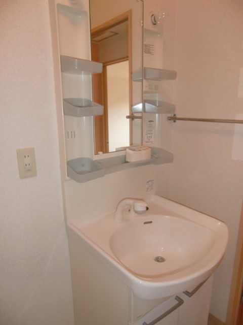 Other room space. Shampoo is vanity