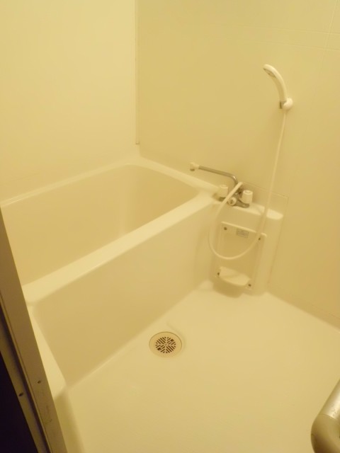 Bath. State of the bathroom.