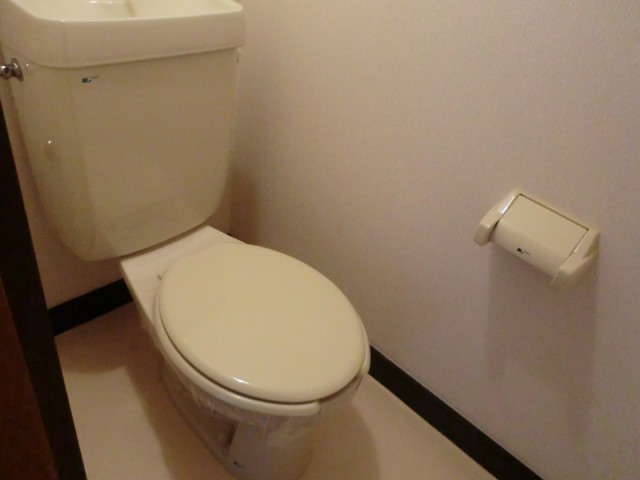 Toilet. Flush toilet