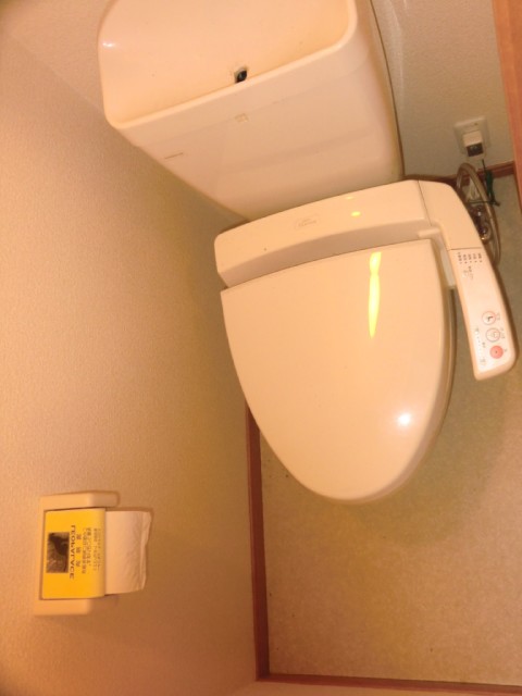 Toilet. Warm water washing toilet seat