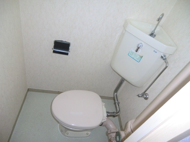 Toilet. Flush toilet