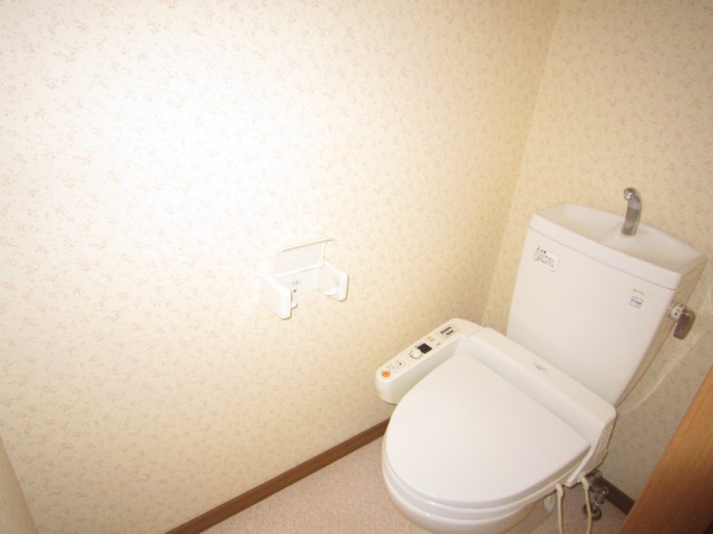 Toilet. Warm water washing toilet seat