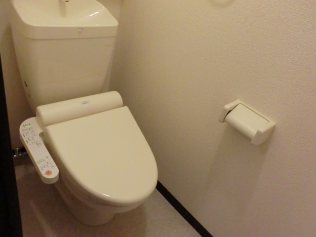 Toilet. Warm water washing toilet seat