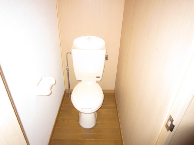 Toilet. Flush toilet