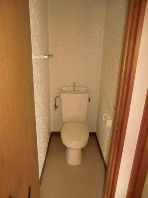 Toilet. Flush toilet