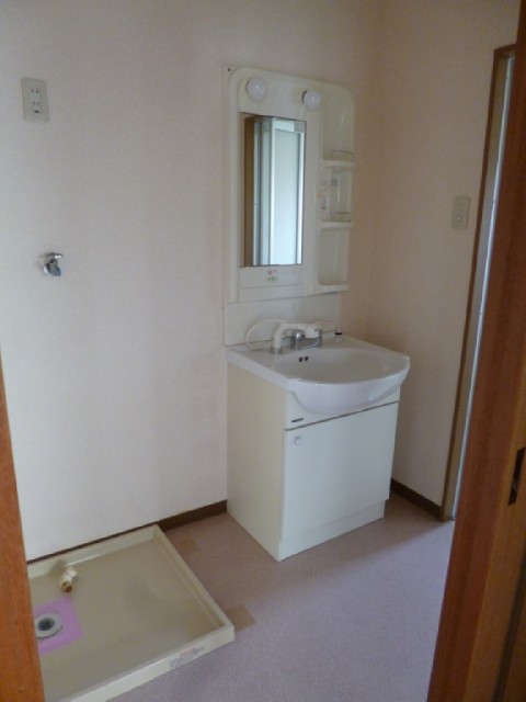 Other room space. Laundry Area and washroom