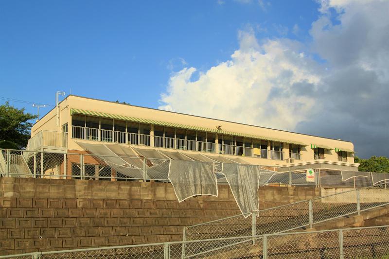 kindergarten ・ Nursery. Hinosato 4315m to the east, nursery school