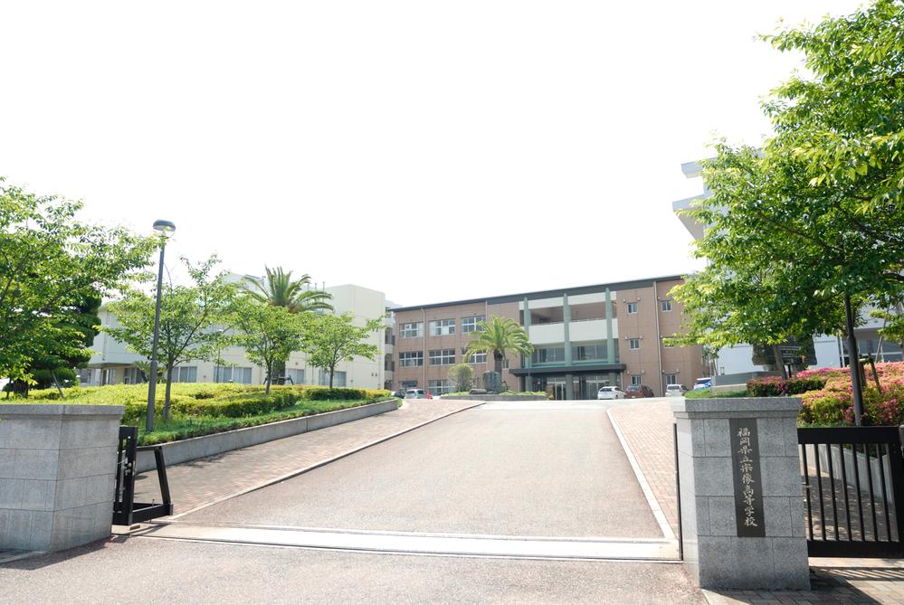 Primary school. School of worry children of 450m lower grades to Hedong elementary school.