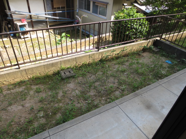 Garden. Self-sufficiency in vegetables from this garden