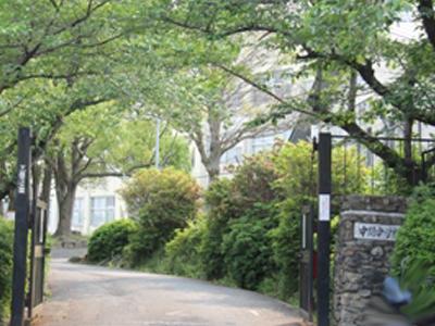 Junior high school. 861m up to the intermediate municipal intermediate junior high school