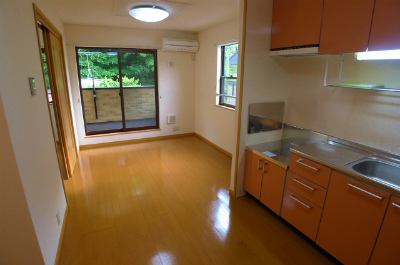 Living and room. Living