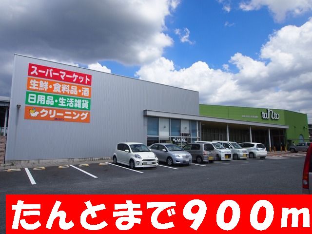 Supermarket. Tanto to (super) 900m