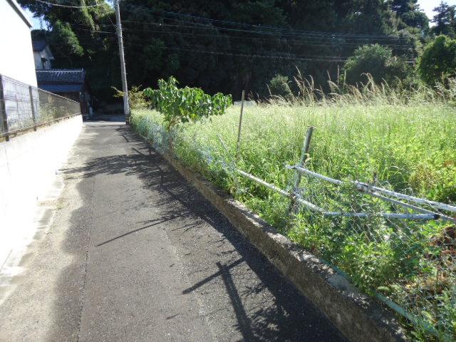 Local photos, including front road