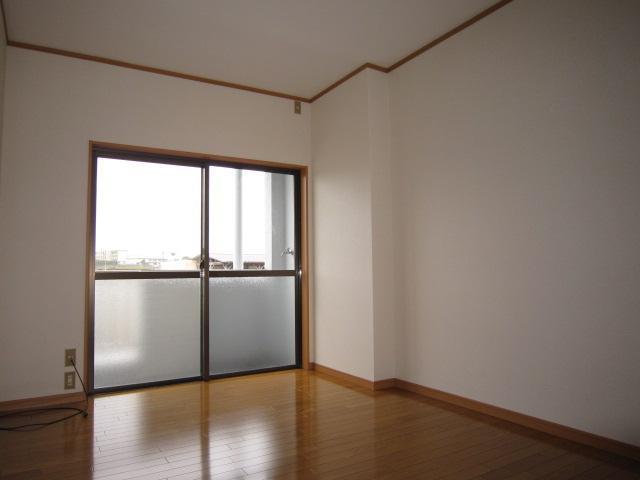 Living and room. Interior