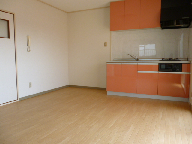 Living and room. System kitchen