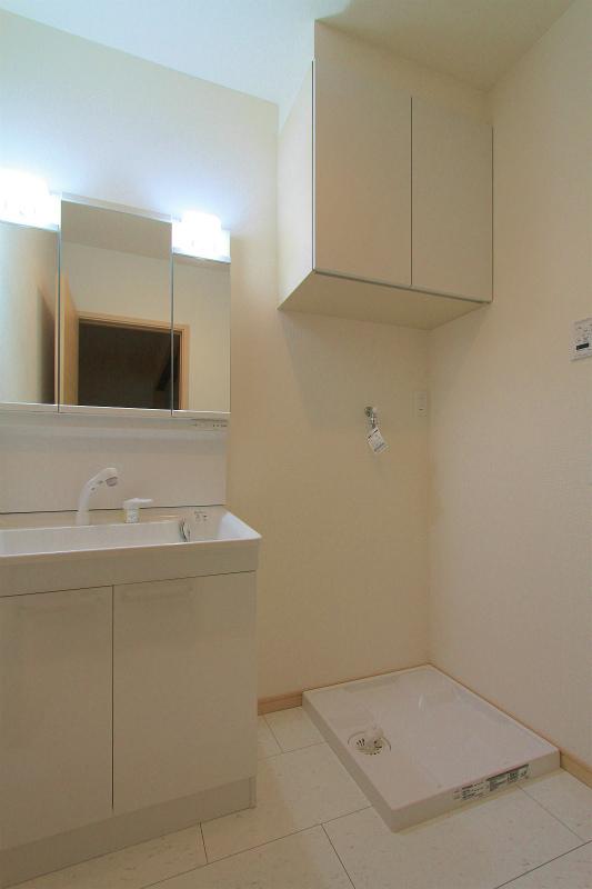 Wash basin, toilet. 2013 September 2 shooting