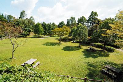 park. Also enhance housing complex in the park