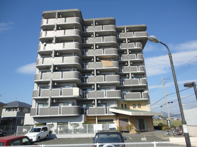 View. Surrounding environment