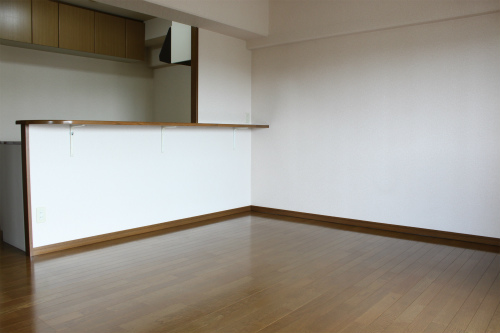 Living and room. Bright living room