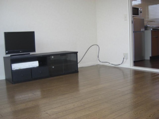 Living and room. Western-style 7 Pledge