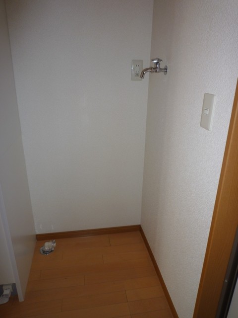 Other room space. Laundry Area