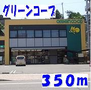 Supermarket. Green 350m until the Co-op (super)
