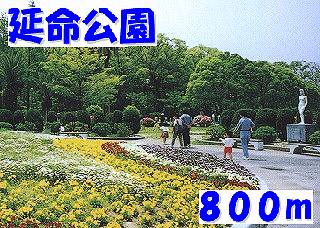 park. 800m up to life-prolonging park (park)