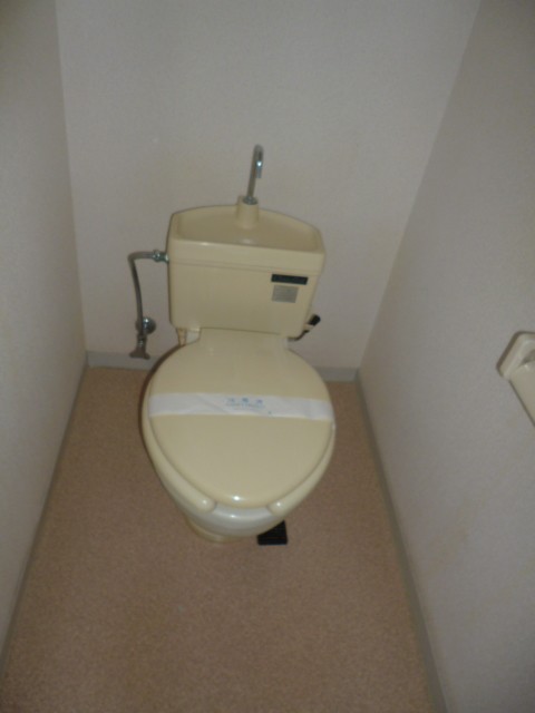 Toilet. Simple washing