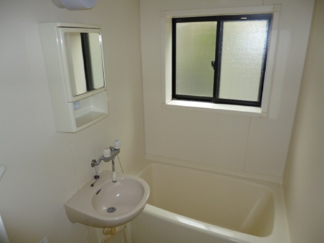 Bath. The window with the bath