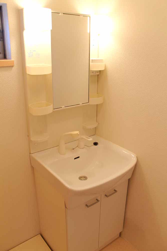 Washroom. Shampoo dresser