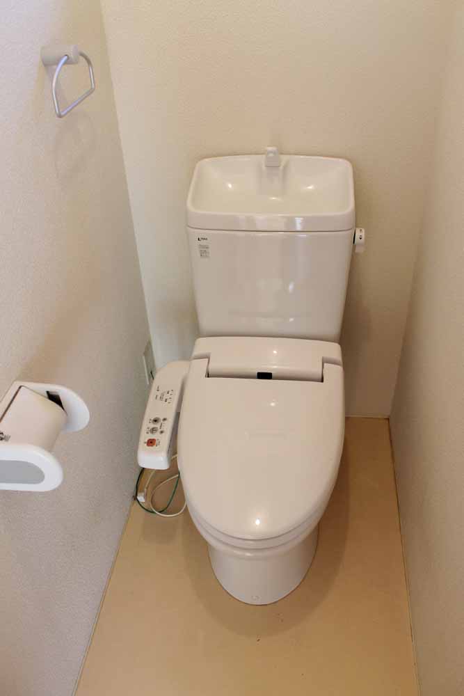 Toilet. Bidet