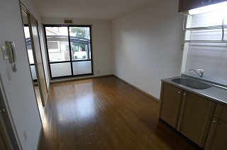 Living and room. Living