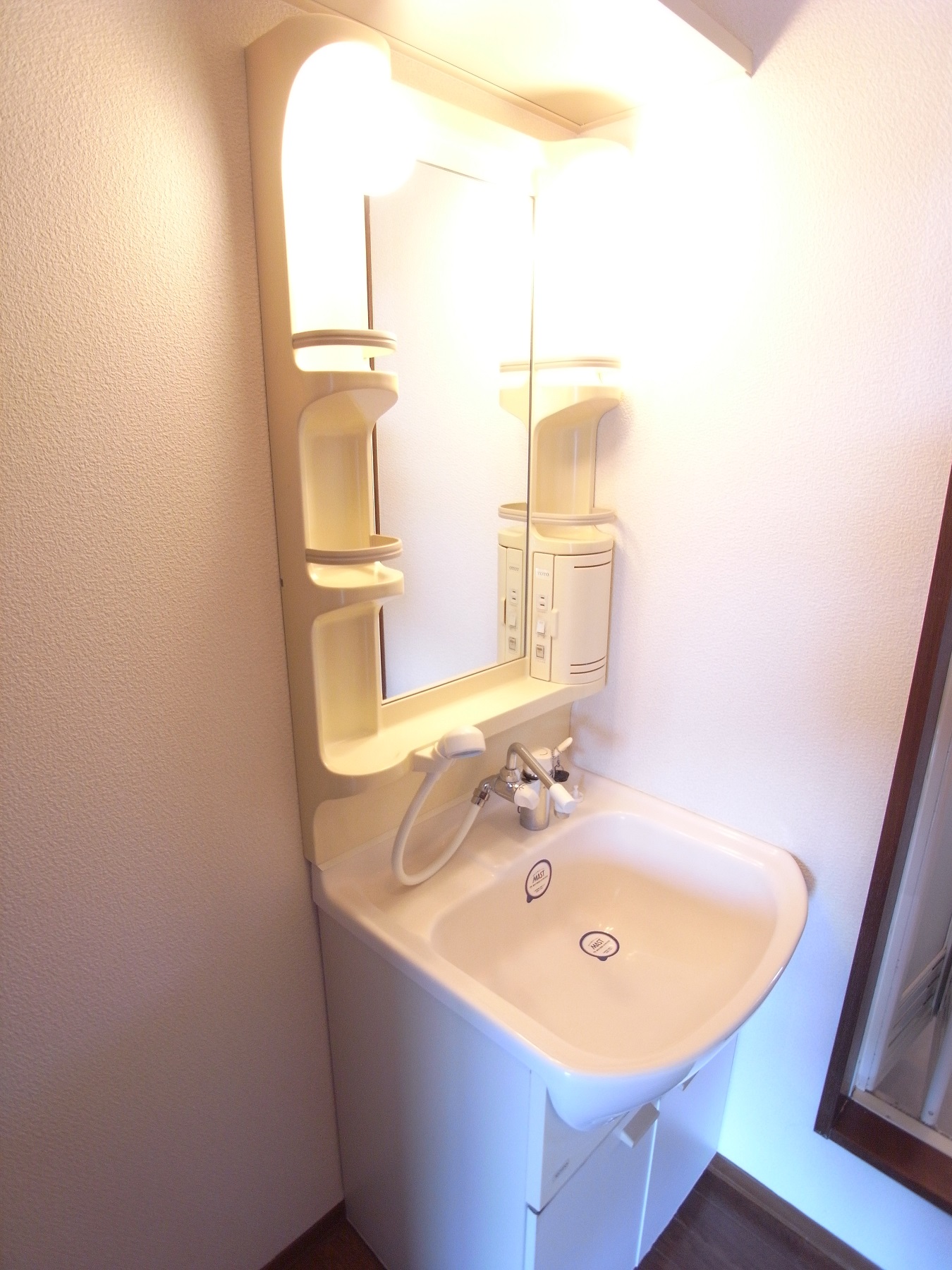 Washroom. Popular shampoo dresser women