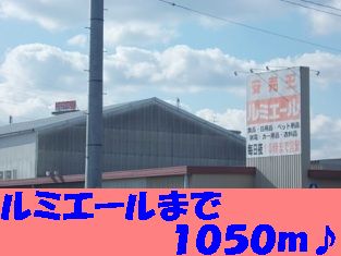 Home center. Lumiere up (home improvement) 1050m